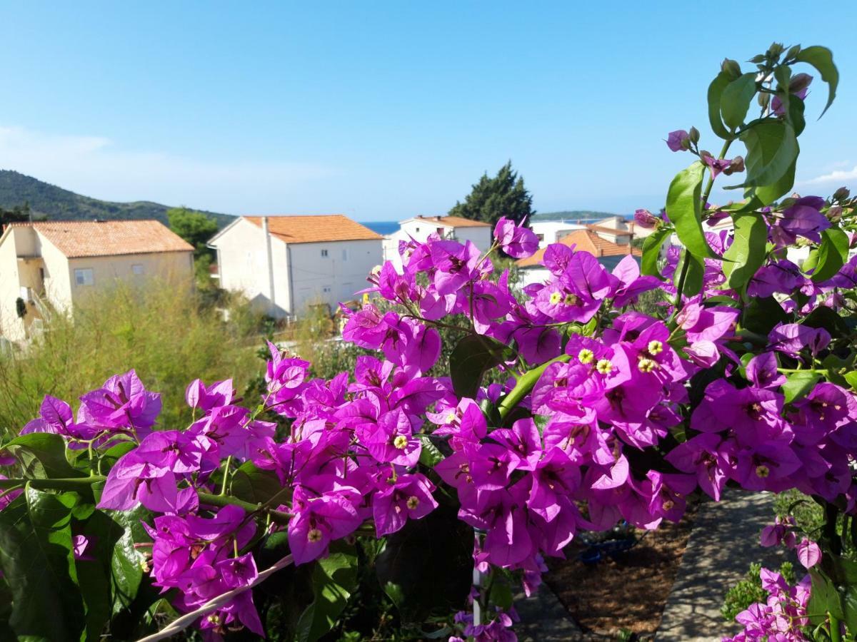 Apartman Dida Jakov Primošten Buitenkant foto